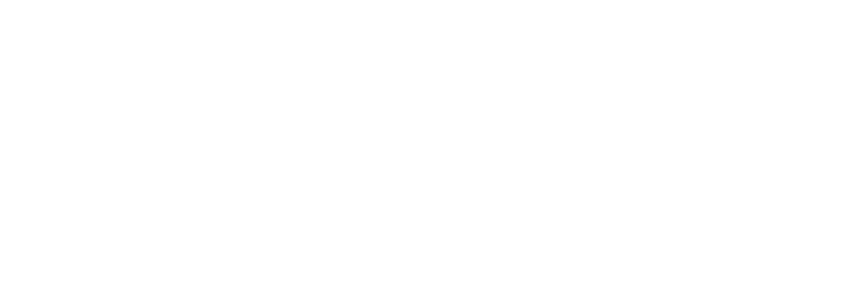 ReforNes